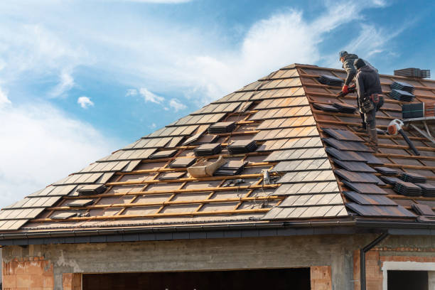 Best Roof Maintenance and Cleaning  in Verona, PA
